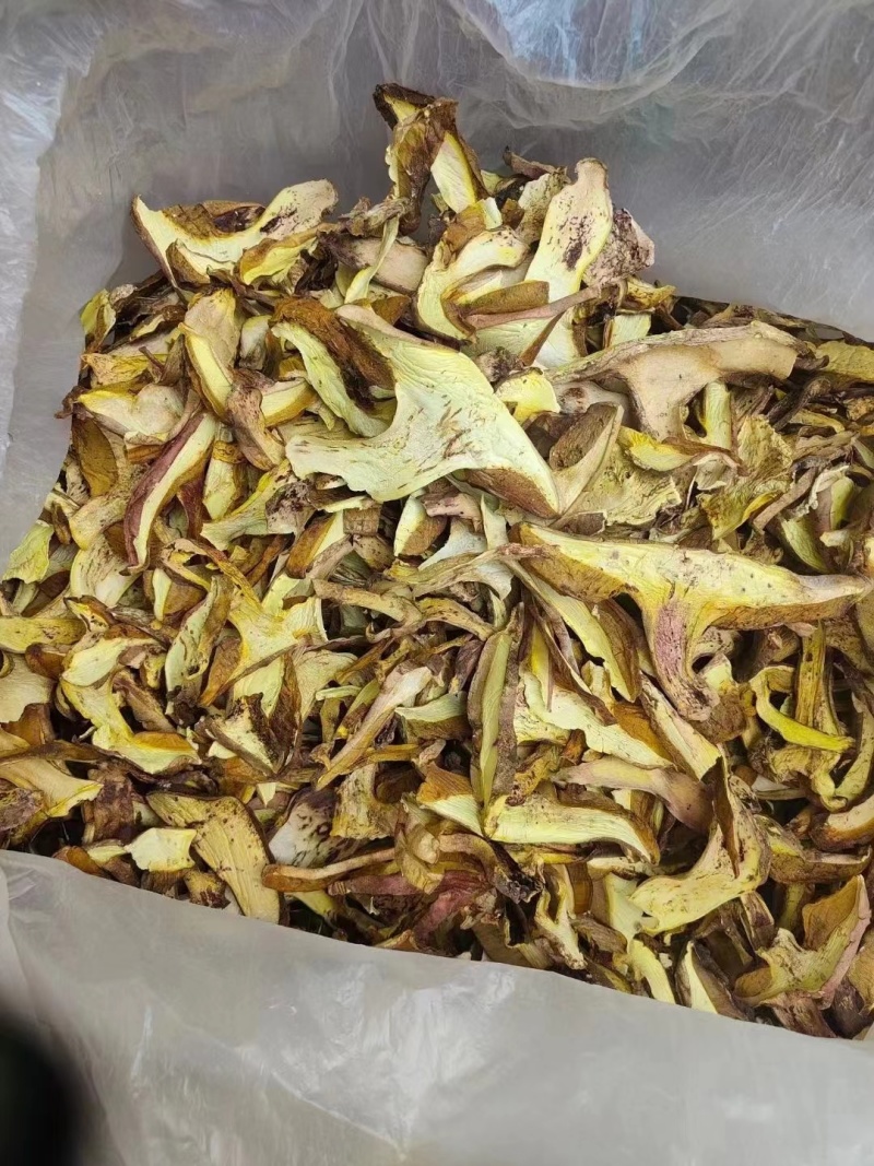 牛肝菌品质好有现货价格优惠欢迎进店选购