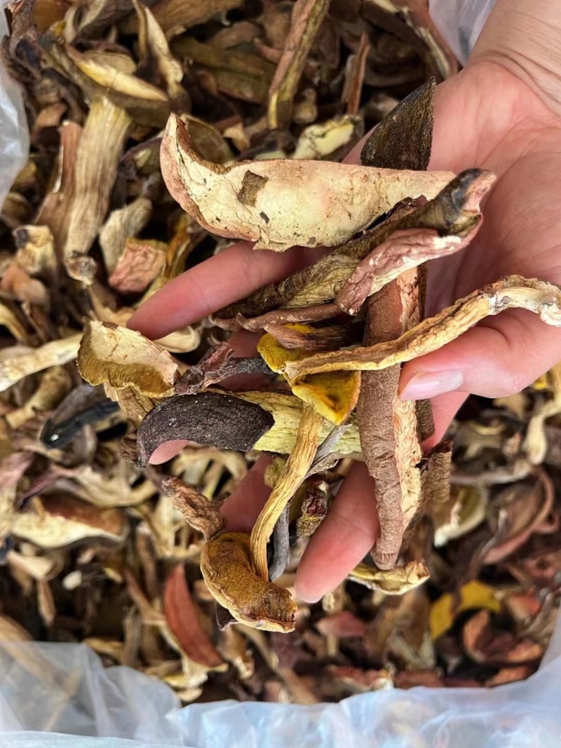 牛肝菌品质好有现货价格优惠欢迎进店选购