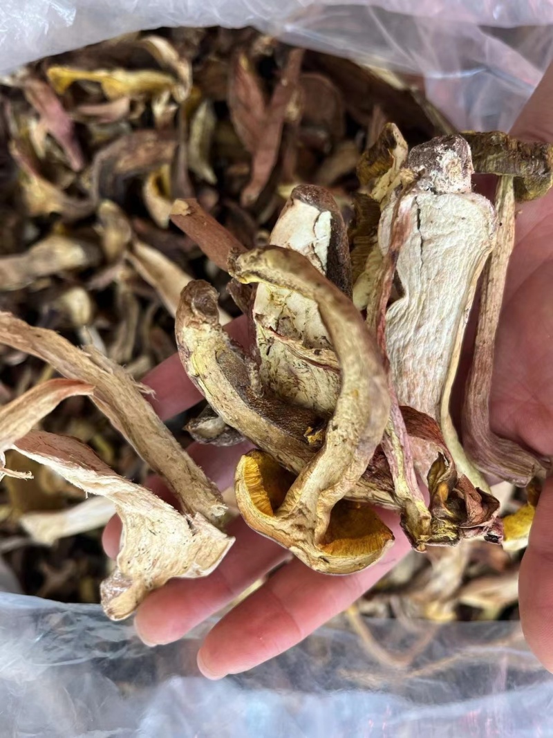 牛肝菌品质好有现货价格优惠欢迎进店选购