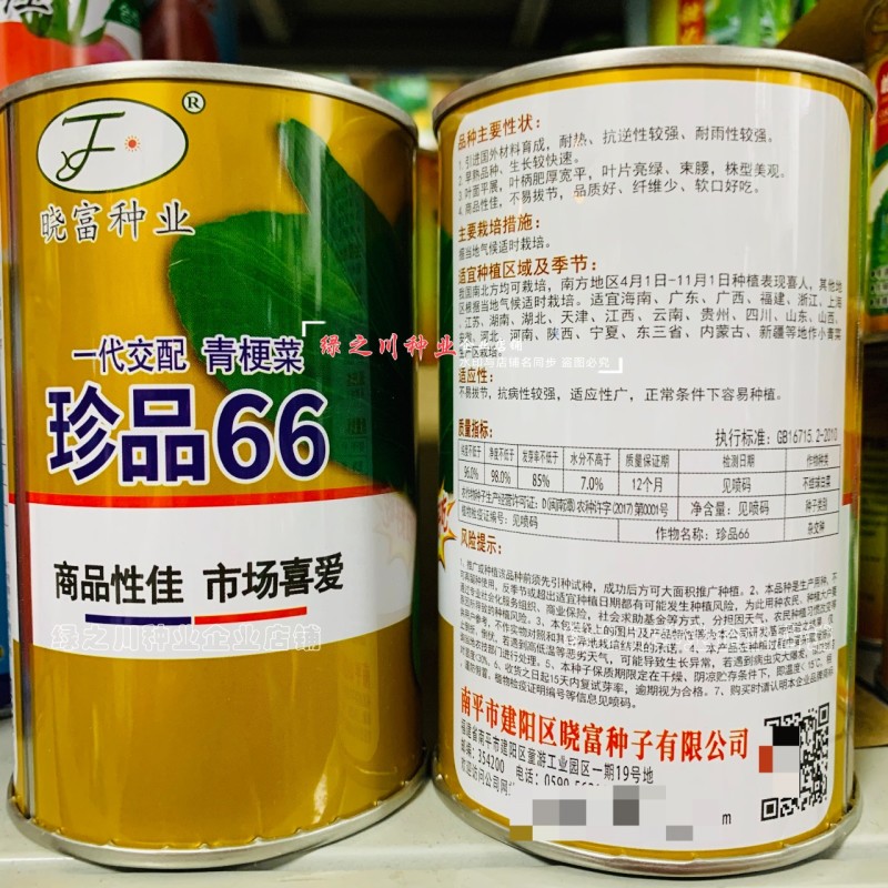 珍品66青梗菜种籽耐热青菜种子耐雨水耐湿蔬菜种子甜嫩好吃