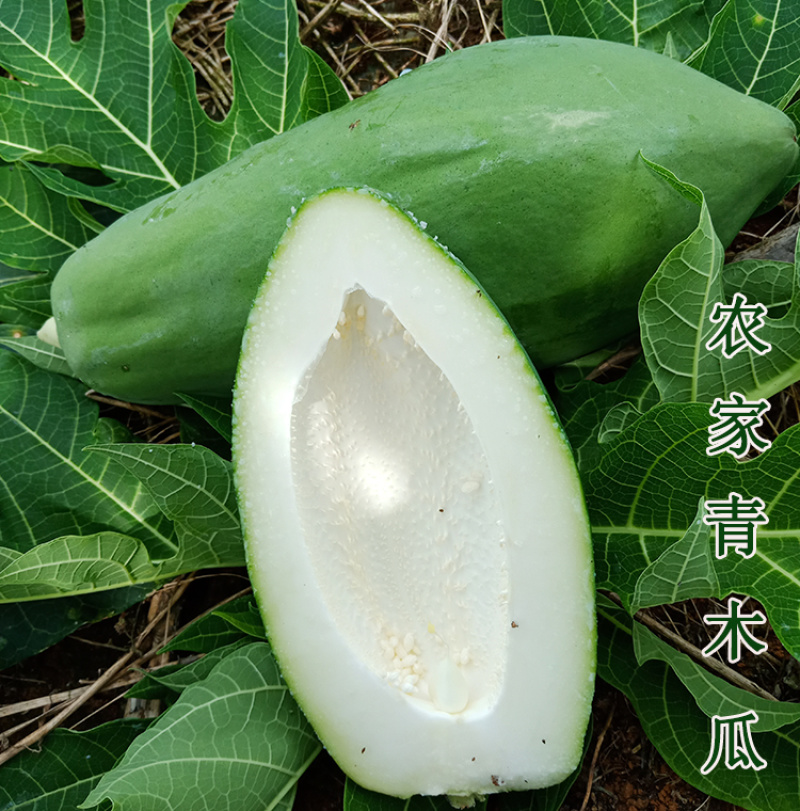 广西青木瓜现摘新鲜蔬菜煲汤木瓜腌酸凉拌沙拉泰式木瓜丝酱菜