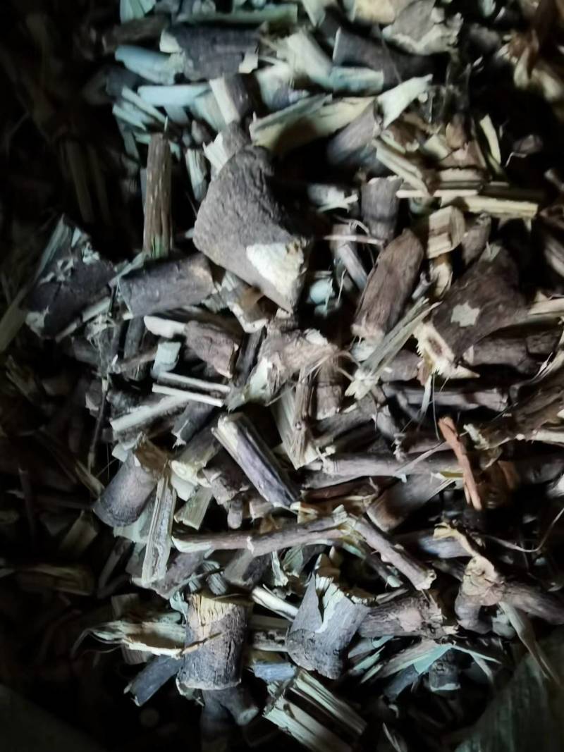 【推荐】刺五加根，五加根片，五加茎段，五加茎片。