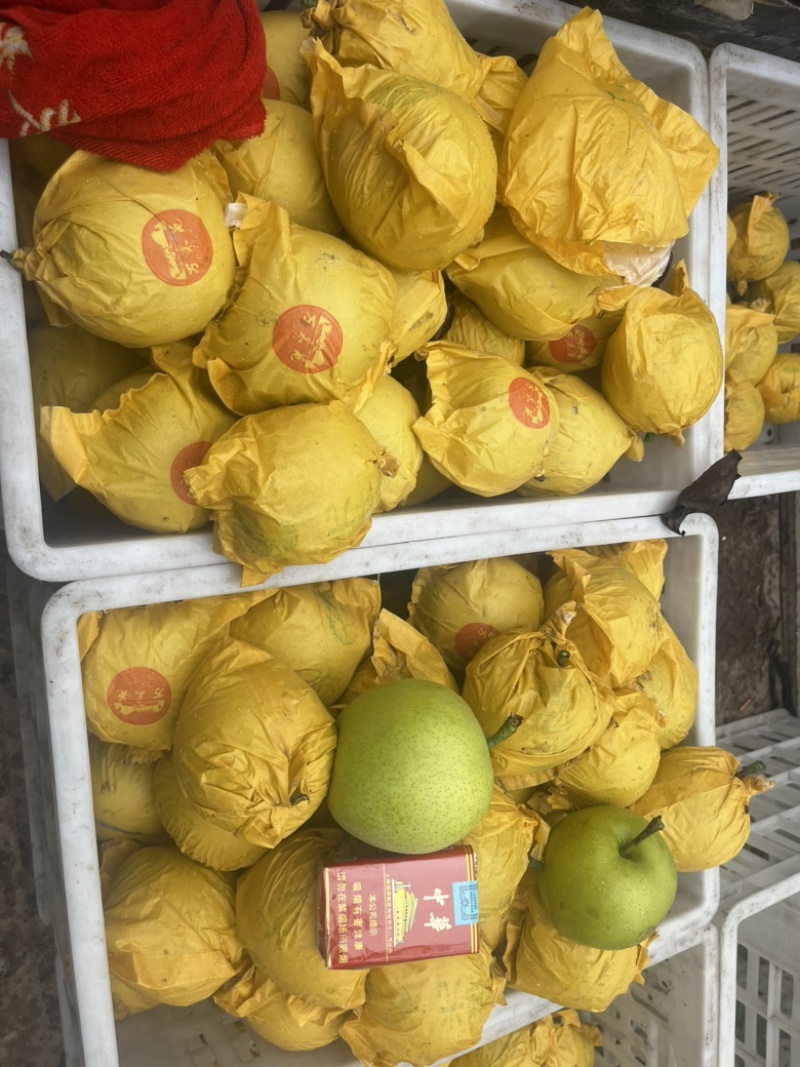 精品皇冠梨