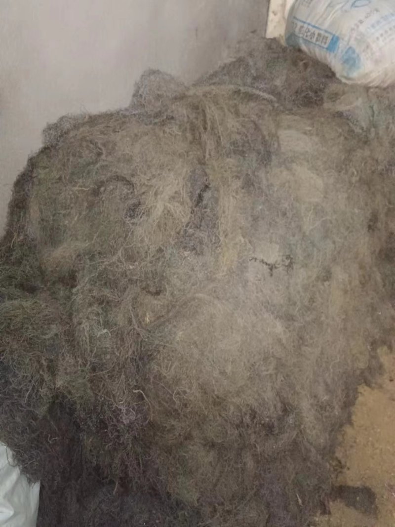 天然日晒海发菜干货500g干货凉拌菜火锅