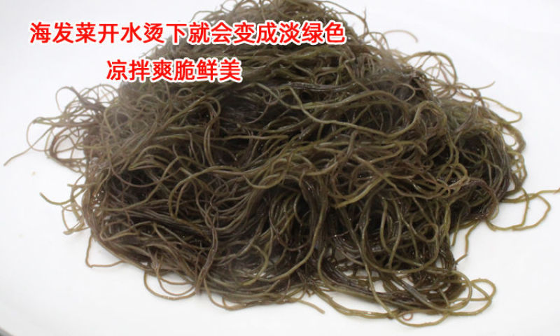 天然日晒海发菜干货500g干货凉拌菜火锅