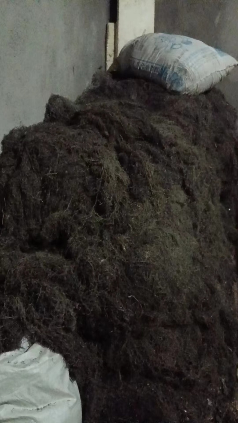 天然日晒海发菜干货500g干货凉拌菜火锅