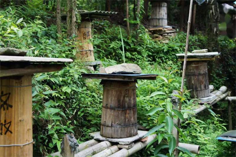 秦岭野生百花药材土蜂蜜，圆桶古法养殖一年取一次深山蜜