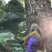 秦岭野生百花药材土蜂蜜,圆桶古法养殖一年取一次深山蜜