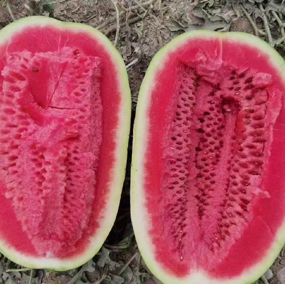 西瓜红瓤营养成分柱状图,展示番茄红素、维生素C、钾等含量分布 西瓜红瓤营养成分分析图