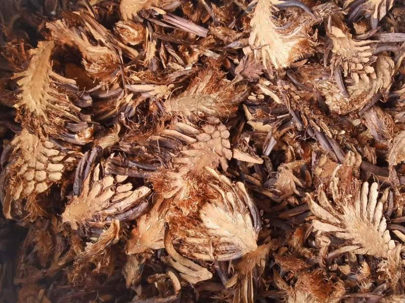 【推荐】灌仲片大量有货货源稳定欢迎老板前来合作