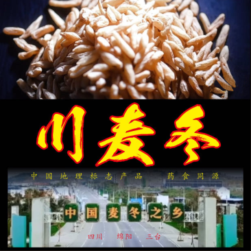 绵阳麦冬川麦冬包邮精品货产地直供自产自销