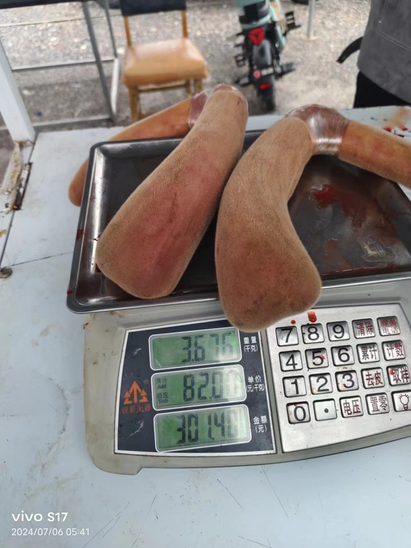 吉林鹿乡鹿茸鹿茸片大量现货质量保证，诚信经营欢迎咨询