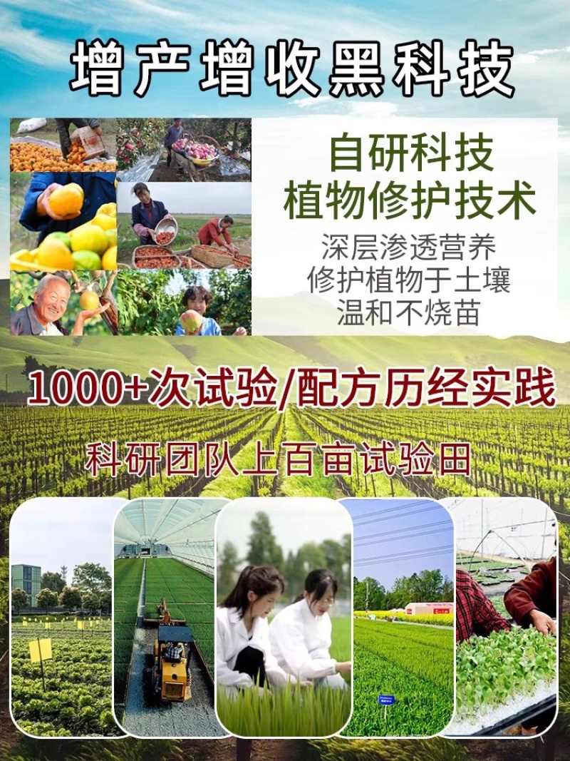 田福元-高磷型大量元素水溶肥（10-35-5+TE）