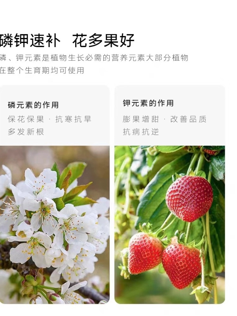 田福元-高钾型大量元素水溶肥料（12-5-40+TE）