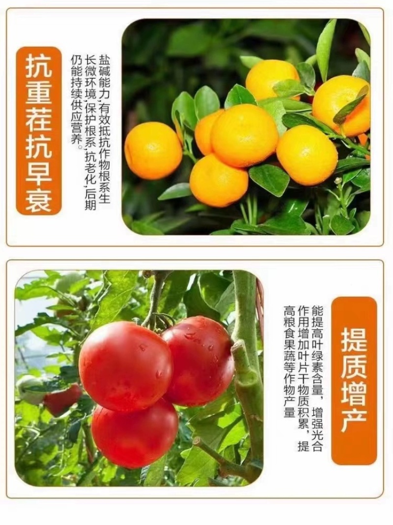 田福元-高钾型大量元素水溶肥料（12-5-40+TE）