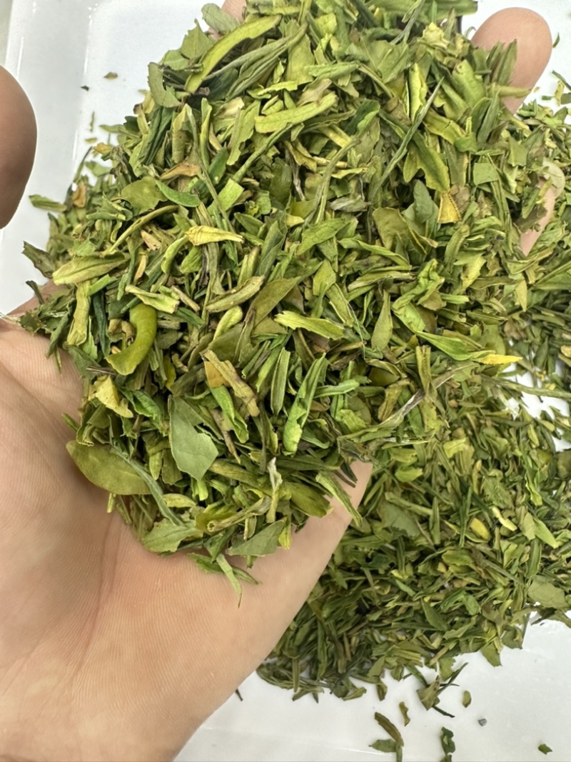 茶片白茶片2026年新毛峰白茶片饭店用茶