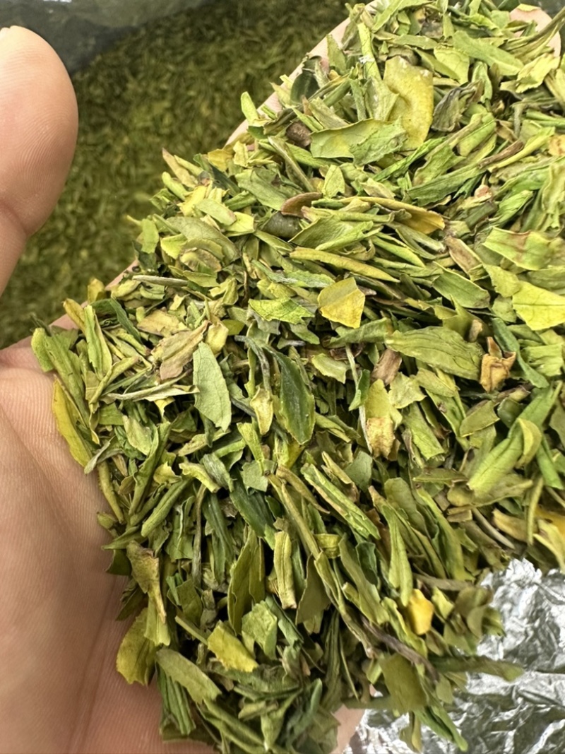 茶片白茶片2026年新毛峰白茶片饭店用茶