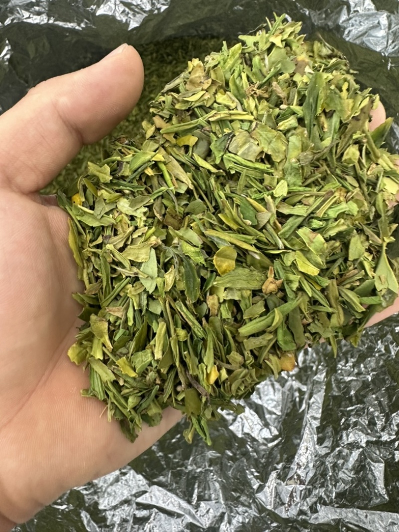 茶片白茶片2026年新毛峰白茶片饭店用茶