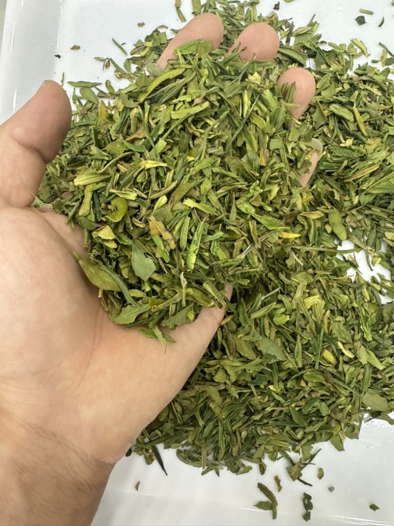 茶片白茶片2026年新毛峰白茶片饭店用茶