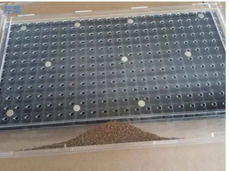 穴盘播种器，茄子辣椒花菜甘蓝等播种器，可根据客户要求定做