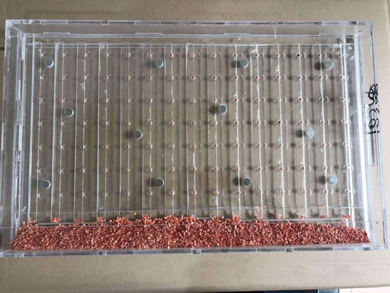 穴盘播种器，茄子辣椒花菜甘蓝等播种器，可根据客户要求定做