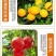 田福元-高钾型大量元素水溶肥料（10-5-35+TE）