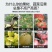 韩国石原-磷钾-大量元素水溶肥0-350-450+TE