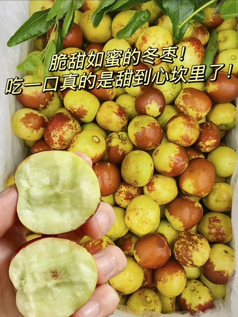 大荔冬枣