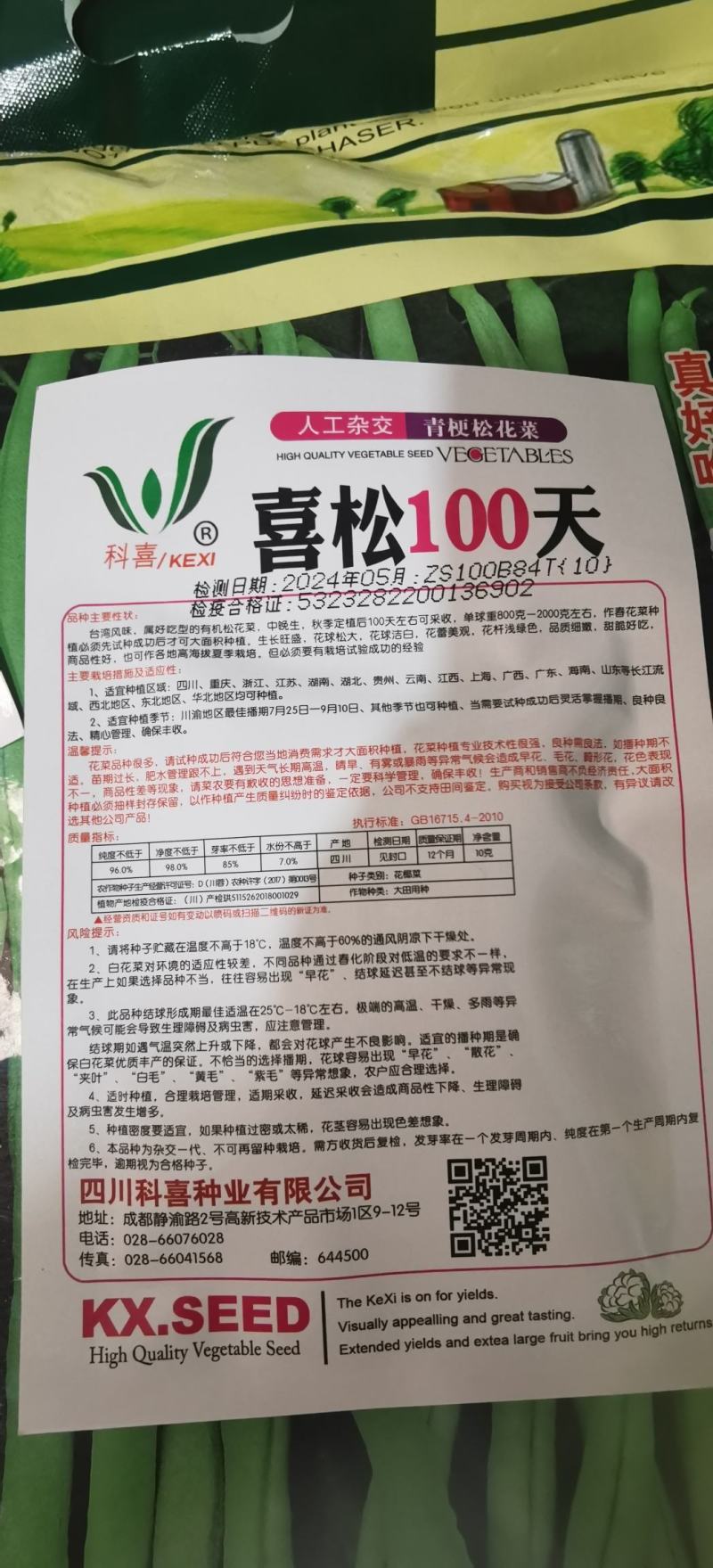 花菜种子喜松100中熟小米粒青梗松花颜色雪白靓丽