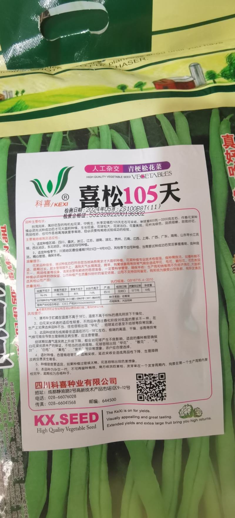 花菜种子喜松100中熟小米粒青梗松花颜色雪白靓丽