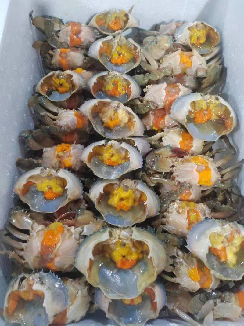 冻青蟹排各种规格都有量大从优欢迎各位老板采购