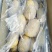 大量供应滕州冷库土豆荷兰v7沃土大棚货陆地土豆