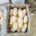 大量供应滕州冷库土豆荷兰v7沃土大棚货陆地土豆