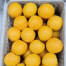 黄油桃