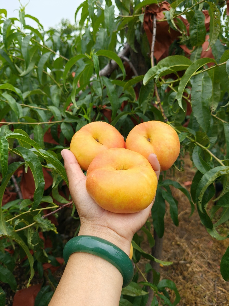 蟠桃