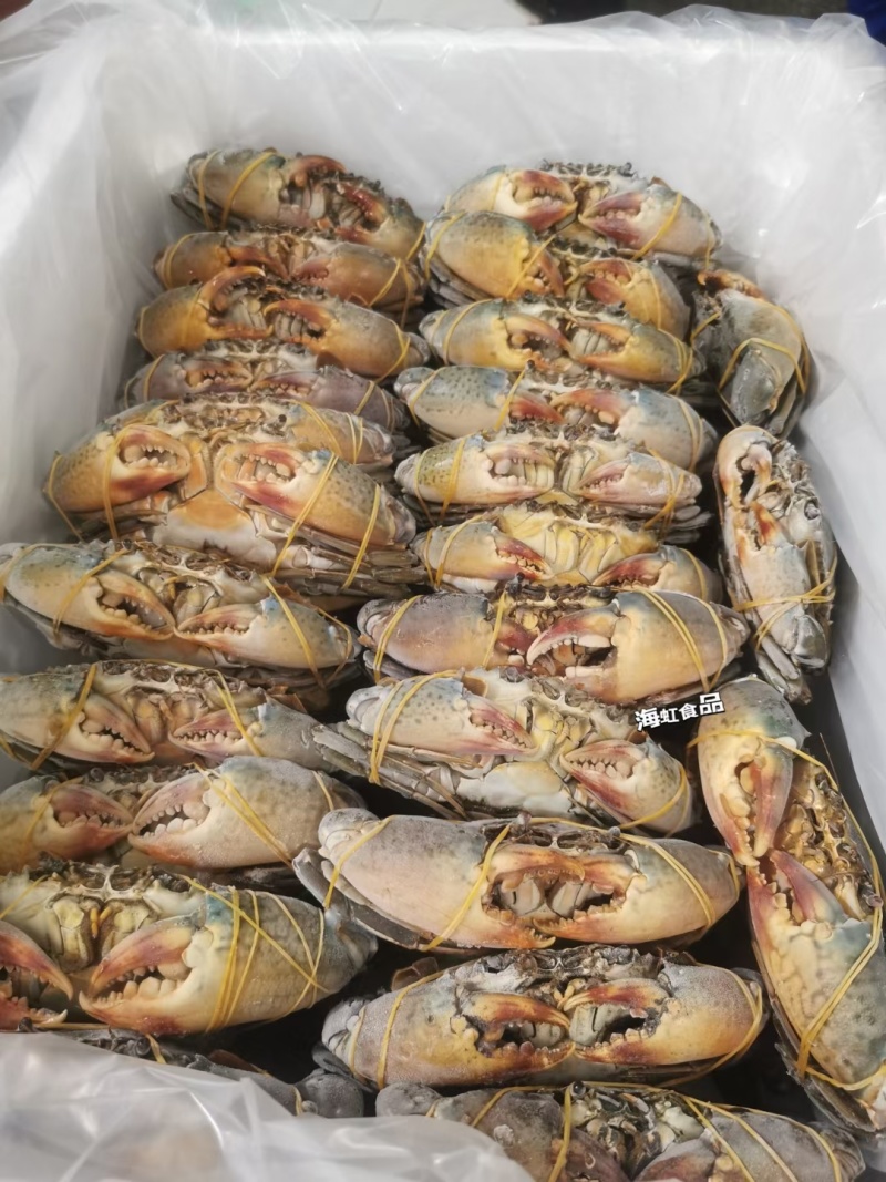 青蟹，冰鲜蟹，活冻蟹慢抓蟹，肉蟹煲，香辣蟹用，