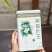 茉莉花茶茉莉针王银针王白亳全芽川茶浓香飘雪500g茶叶