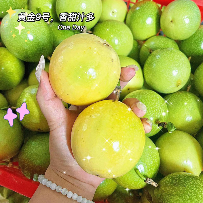 黄金百香果，电商货市场货，支持一件代发！