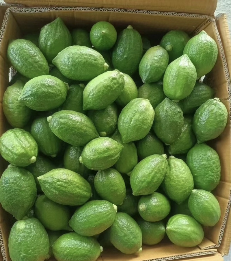 香水柠檬
