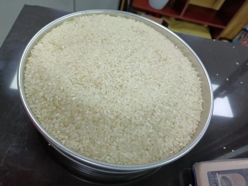 东北珍珠+珍珠米+东北珍珠米+粥米+稀饭米+东北地标大米