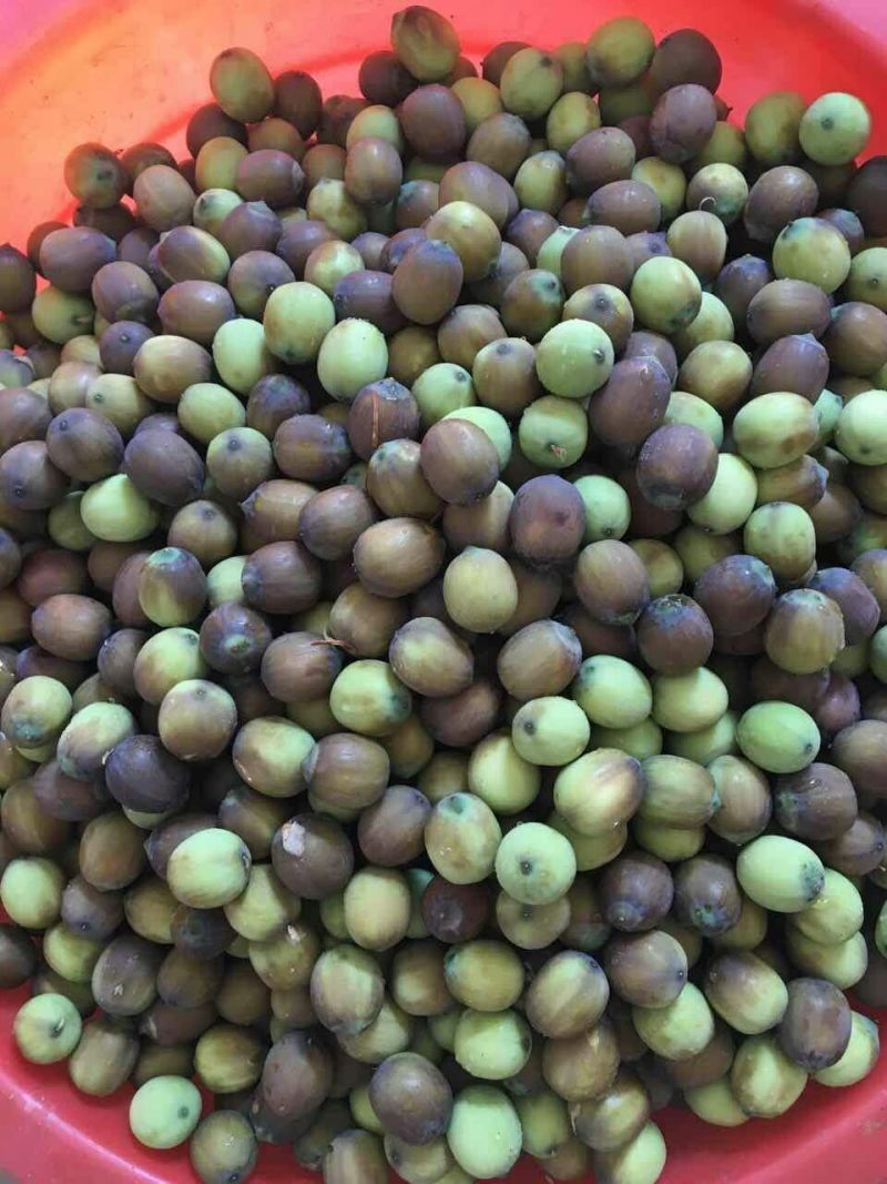 新鲜带壳草莲子花仔