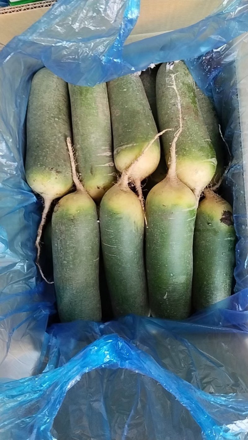 水果罗卜紫英