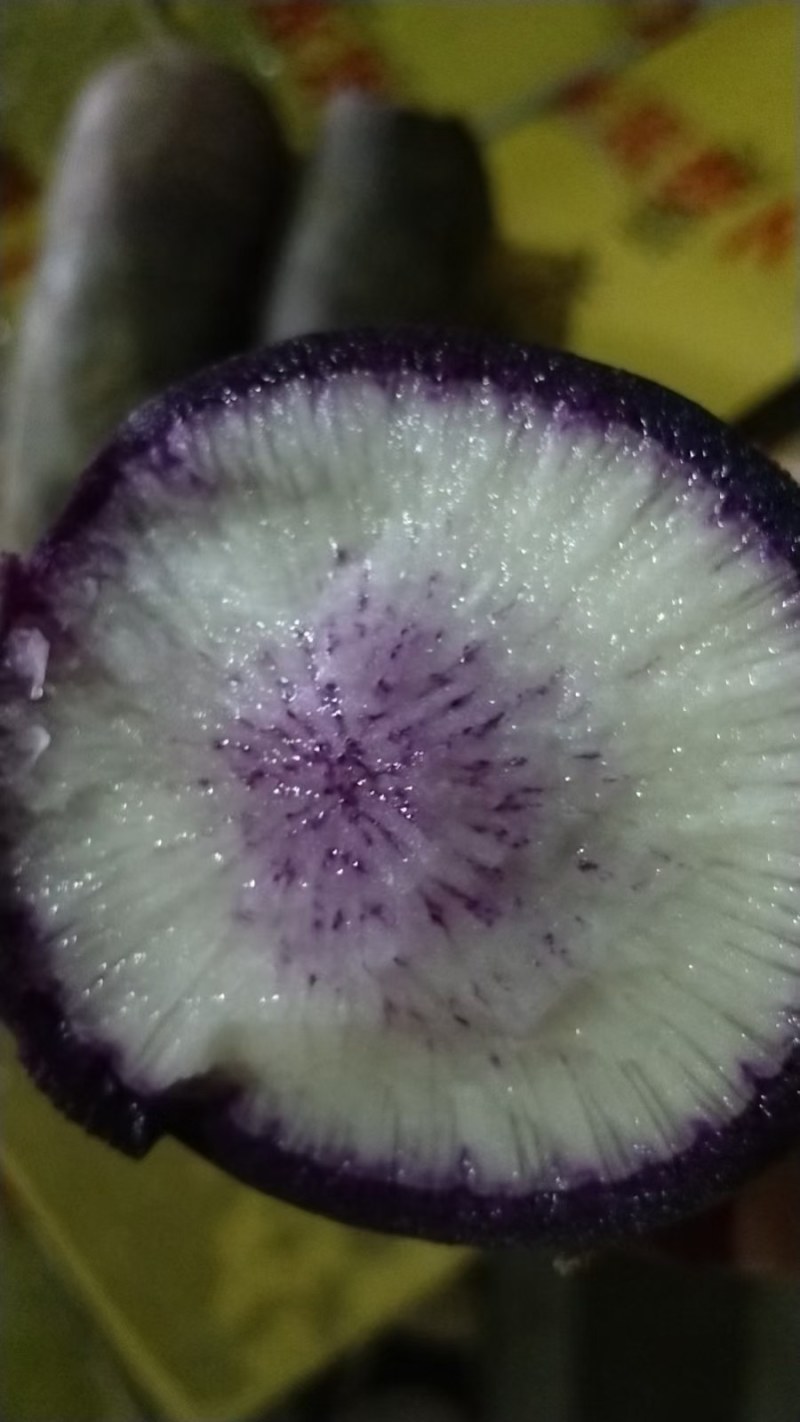 水果罗卜紫英