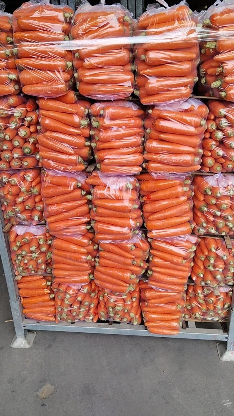 胡罗卜