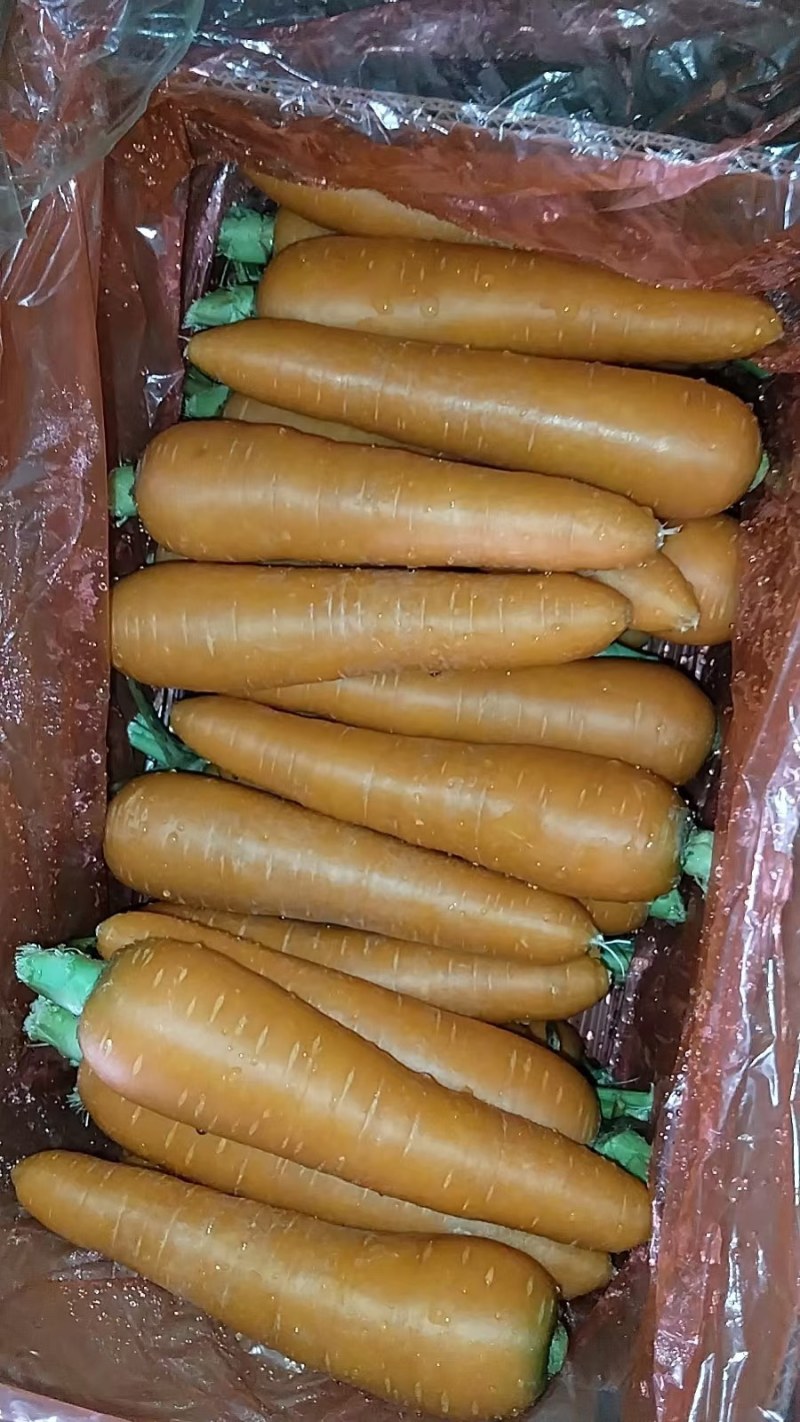 胡罗卜