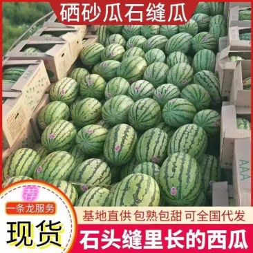 正宗宁夏石头瓜，硒砂瓜，大量现货供应支持视频