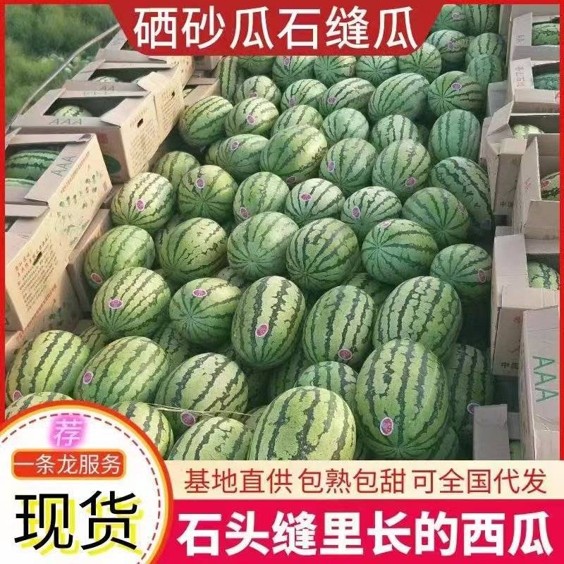 正宗宁夏石头瓜，硒砂瓜，大量现货供应支持视频