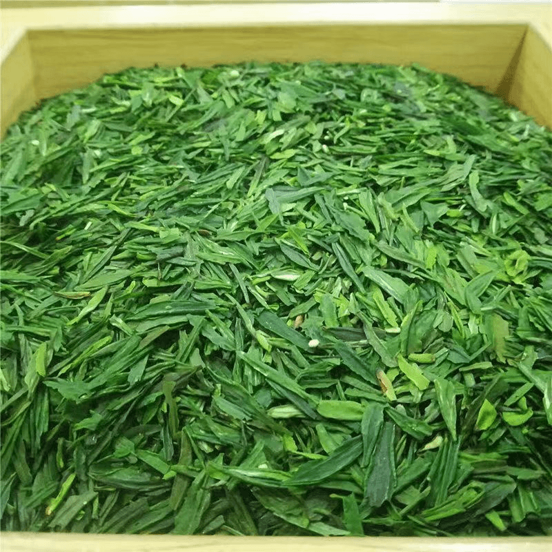 贵州雀舌茶片批发零售包邮到家一件代发