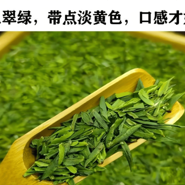 贵州雀舌茶片批发零售包邮到家一件代发