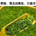 贵州雀舌茶片批发零售包邮到家一件代发